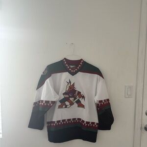 Vintage Phoenix Coyotes Kachina Jersey